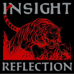 Insight - Reflection (2020)
