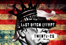 Last Ditch Effort - Twenty-25 (2025)