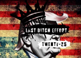 Last Ditch Effort - Twenty-25 (2025)