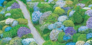 Fiddlehead - Between The Richness (2021)